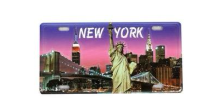 Small License Plate Magnet ( Sunset SOL )